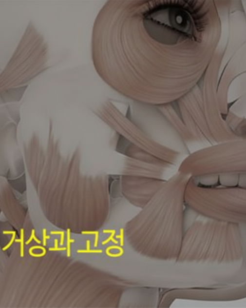 유지인대의 거상과 고정