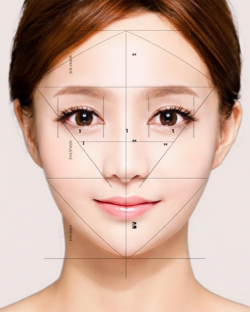 얼굴리안 및 비례 분석