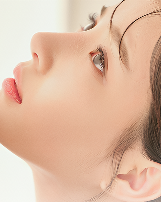 무보형물 코성형 배경