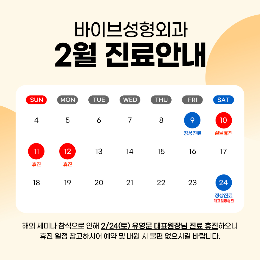바이브 성형외과 2월 진료 일정