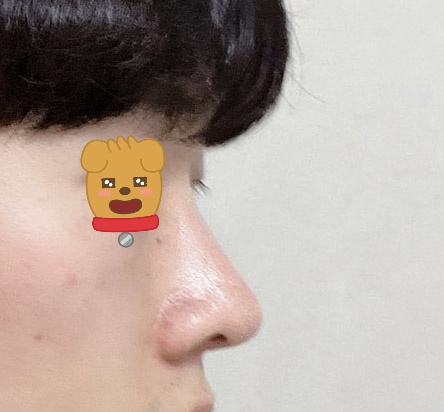 벌써 코한지 6개월차!!